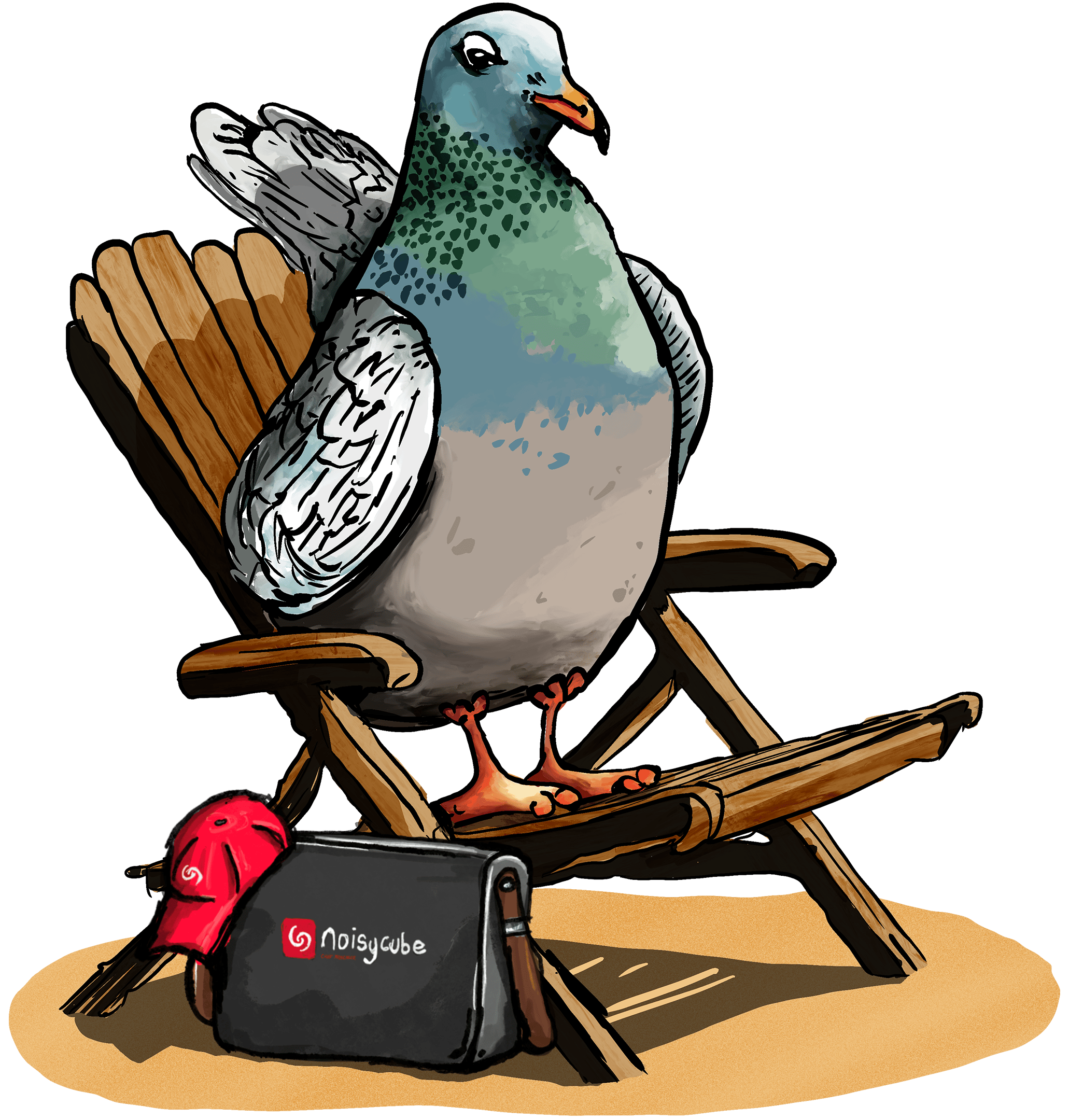 Jim the pigeon